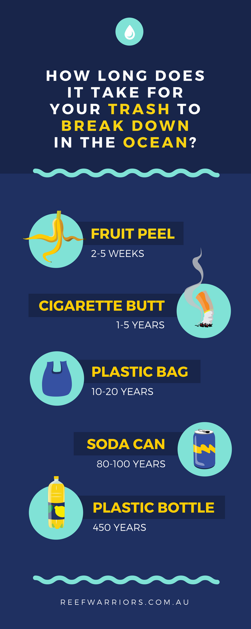 Ocean Trash Breakdown Infographic