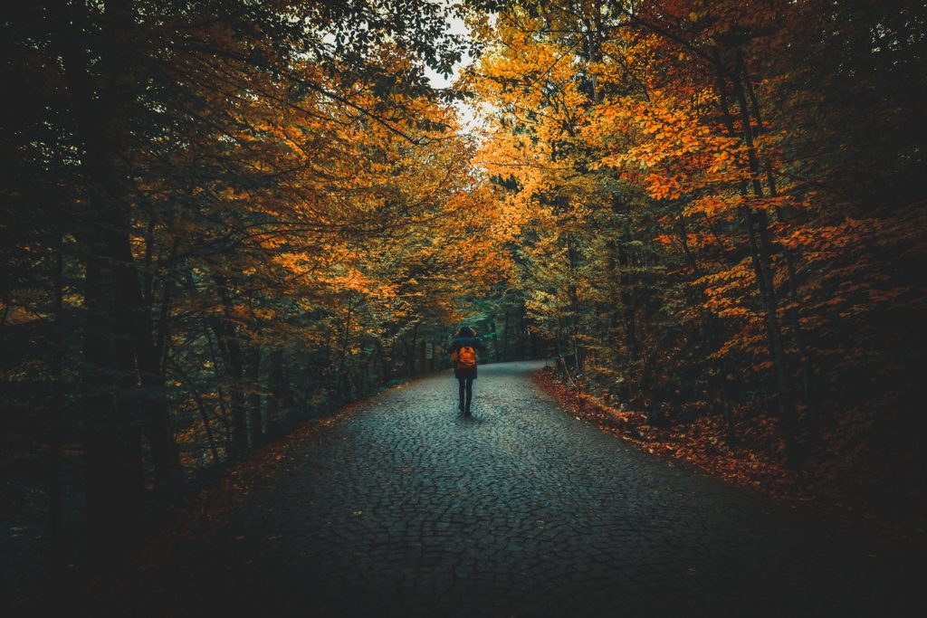 Fall path with person walking