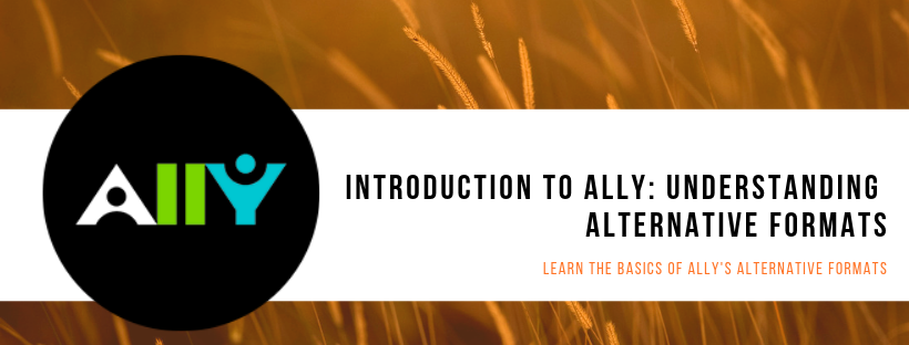 Introduction to Ally: Understanding Alternative Formats