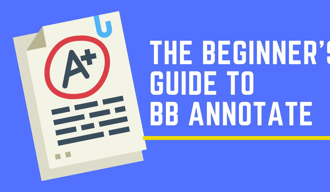 The Beginner's Guide to BB Annotate