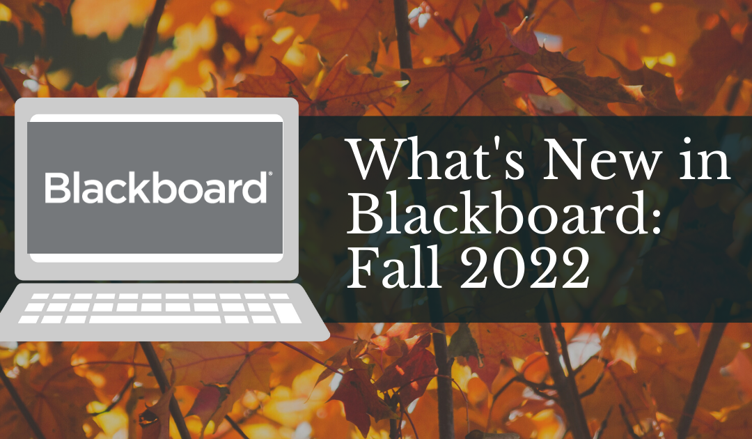 What’s New In Blackboard This Fall 