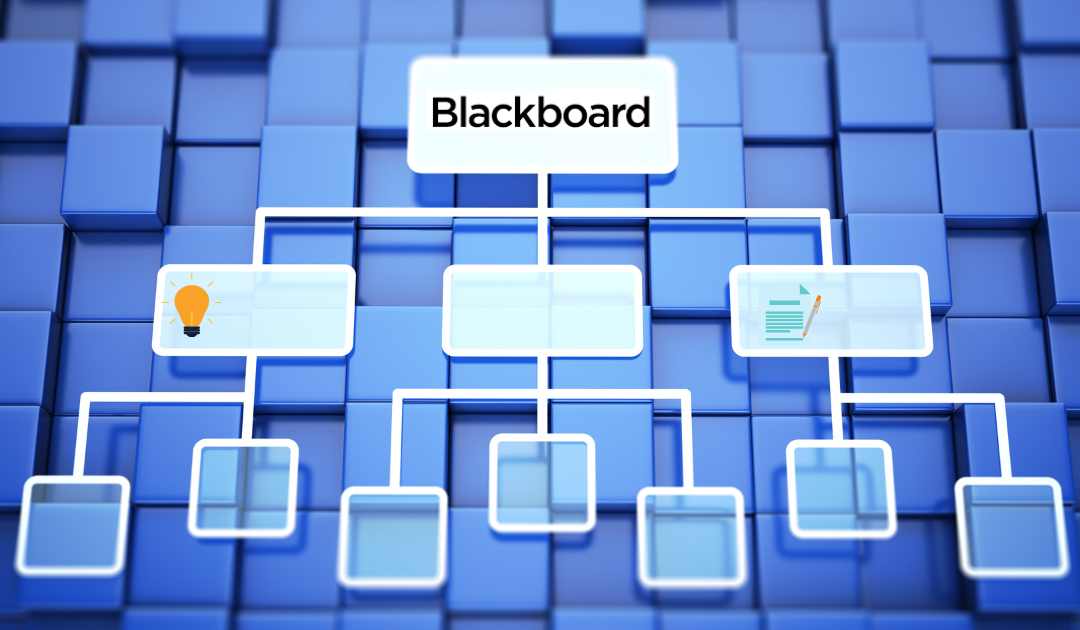 Announcing the New Blackboard Student Support Organization